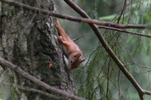 DSCF4171.JPG