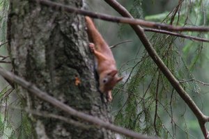 DSCF4173.JPG