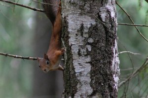 DSCF4177.JPG