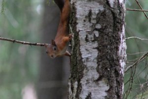 DSCF4178.JPG