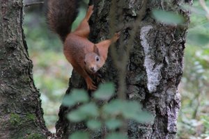 DSCF4179.JPG