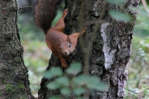 DSCF4180.JPG