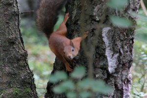 DSCF4183.JPG