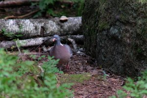 DSCF4208.JPG
