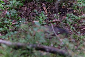 DSCF4258.JPG