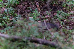 DSCF4259.JPG