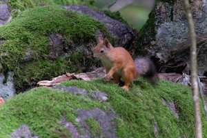 DSCF4270.JPG