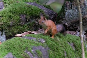 DSCF4271.JPG