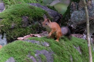 DSCF4273.JPG