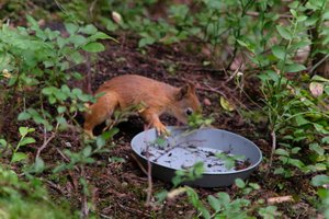 DSCF4278.JPG