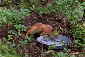 DSCF4281.JPG