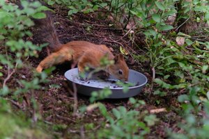 DSCF4288.JPG