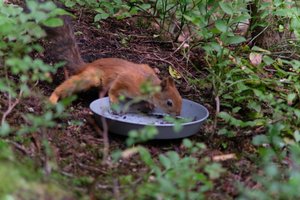 DSCF4290.JPG