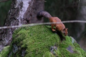 DSCF4308.JPG