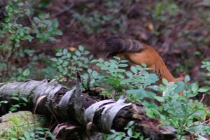 DSCF4311.JPG