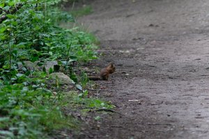 DSCF4312.JPG