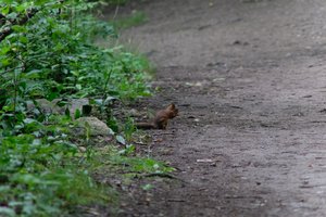 DSCF4313.JPG