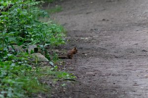 DSCF4314.JPG
