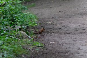 DSCF4315.JPG