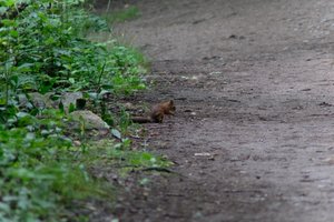 DSCF4316.JPG