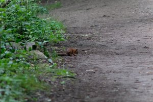 DSCF4317.JPG