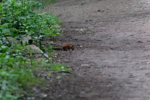 DSCF4319.JPG