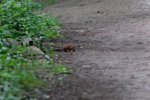 DSCF4320.JPG