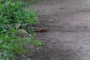 DSCF4321.JPG