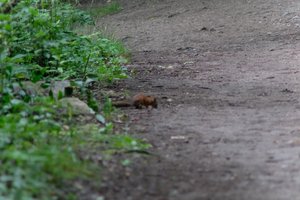 DSCF4322.JPG