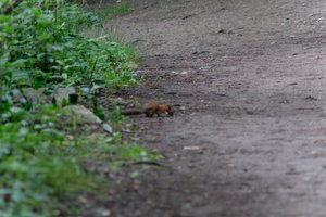 DSCF4324.JPG