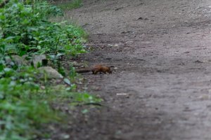 DSCF4325.JPG