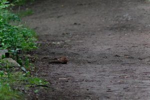 DSCF4326.JPG