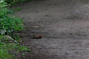 DSCF4328.JPG