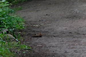 DSCF4329.JPG