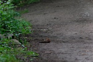 DSCF4331.JPG