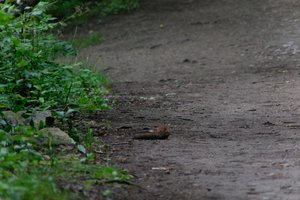 DSCF4332.JPG