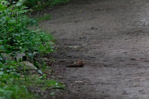 DSCF4333.JPG