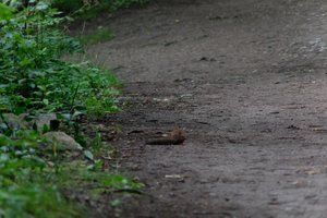 DSCF4335.JPG