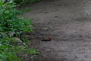 DSCF4336.JPG