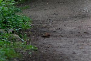 DSCF4337.JPG