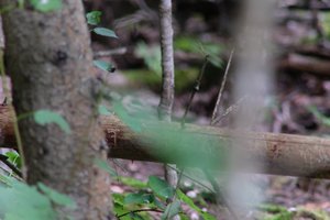 DSCF4363.JPG