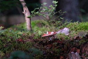 DSCF4367.JPG