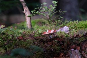 DSCF4368.JPG