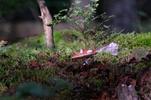 DSCF4370.JPG