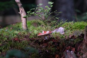 DSCF4372.JPG