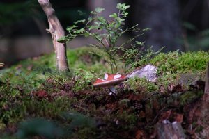 DSCF4373.JPG
