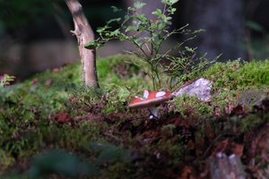 DSCF4376.JPG