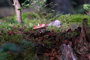 DSCF4379.JPG