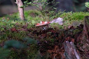 DSCF4380.JPG