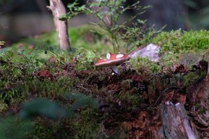 DSCF4381.JPG